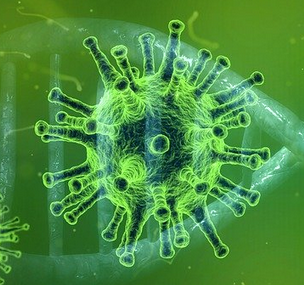 Covid-19 virus