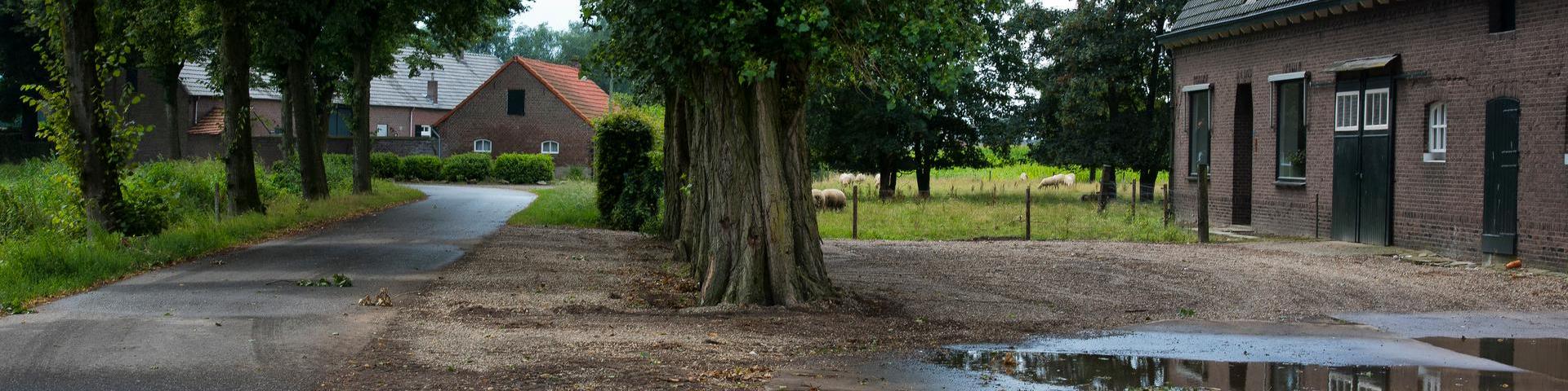 Nederweert kan maatregelen opnemen in het bestemmingsplan, die verder gaan dan wat 'normaal' gesproken mag. Op die manier maakt het bestemmingsplan een integrale afweging tussen gezondheid, fijn stof, geur en uitbreidingsruimte voor agrarische bedrijven mogelijk. Maatwerkvoorschriften geur en fijn stof mogelijk voor type B-bedrijven Nederweert krijgt verder de mogelijkheid om maatwerkvoorschriften voor geur en fijn stof te stellen voor veehouderijen die volledig onder het Activiteitenbesluit vallen.