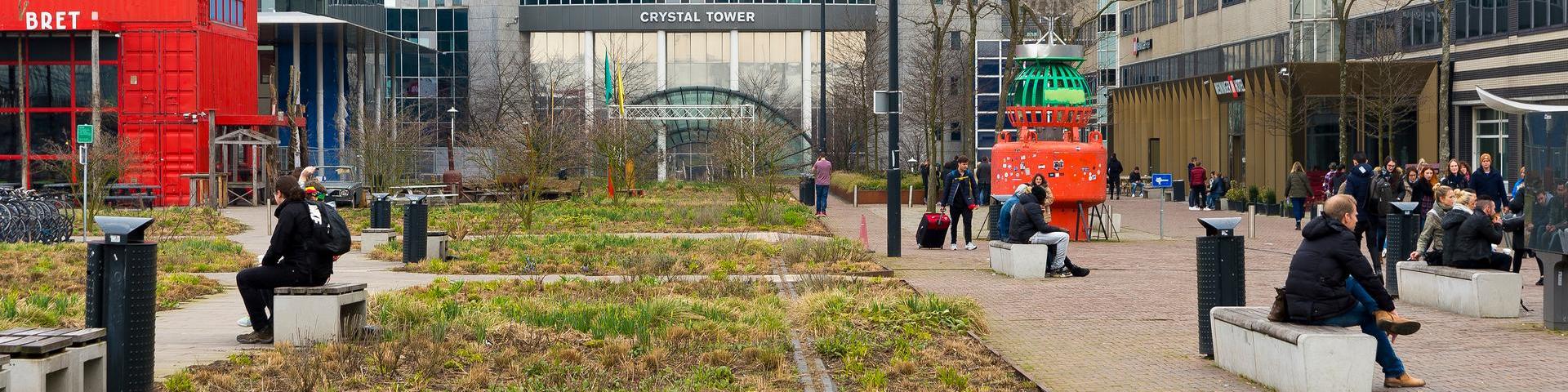 Groen voor het station Sloterdijk in Amsterdam