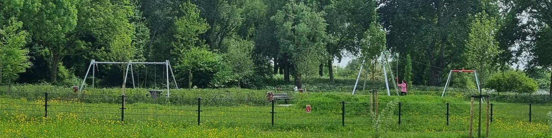 Een groene wijk is te zien, met op de voorgrond groen, en op de achtergrond is een speeltoestel te zien