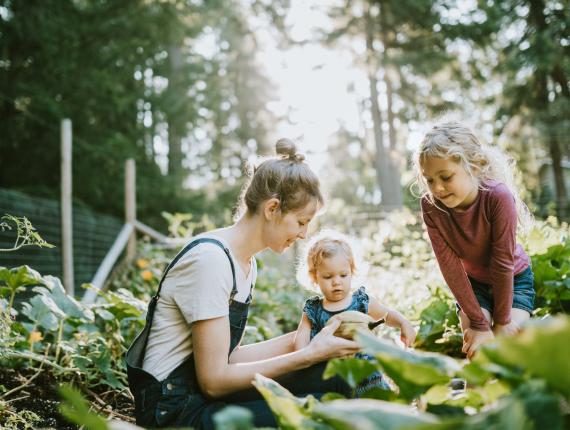 Een moeder zit met 2 kinderen gehurkt tussen groene gewassen. Ze laat iets zien wat ze aan het oogsten zijn.