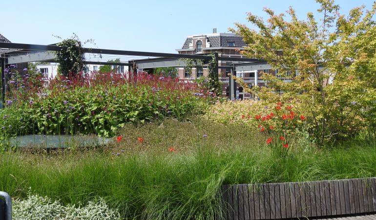 Park Spoorloos, gemeente Delft, biodivers ingericht.