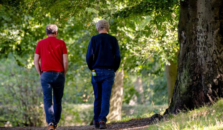 Twee witte mannen met grijs haar zie je vanaf achter samen wandelen in een park met veel groen.