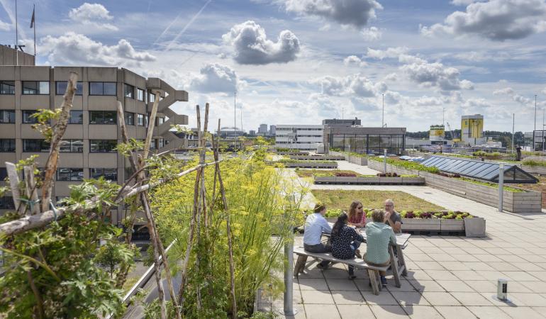 Groepje mensen aan een picknicktafel op een groen dakterras.