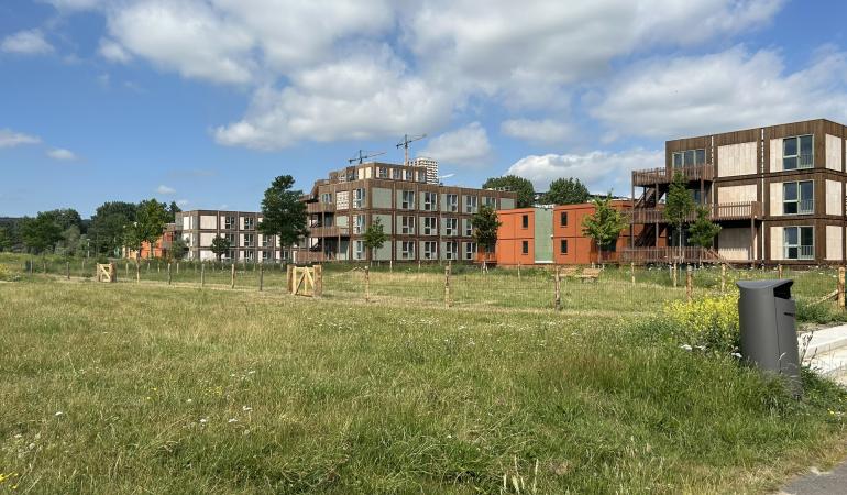 Park met appartementen op de achtergrond