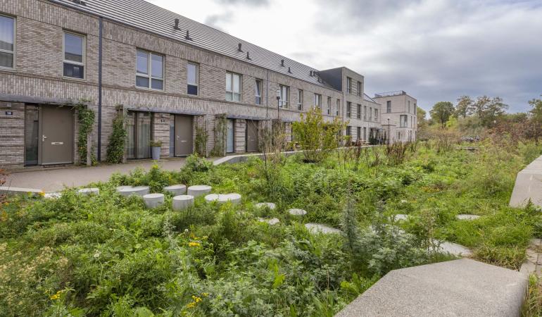 Een natuurlijk wadi (een aangelegde verlaging in het landschap om regenwater te bergen) in een woonstraat