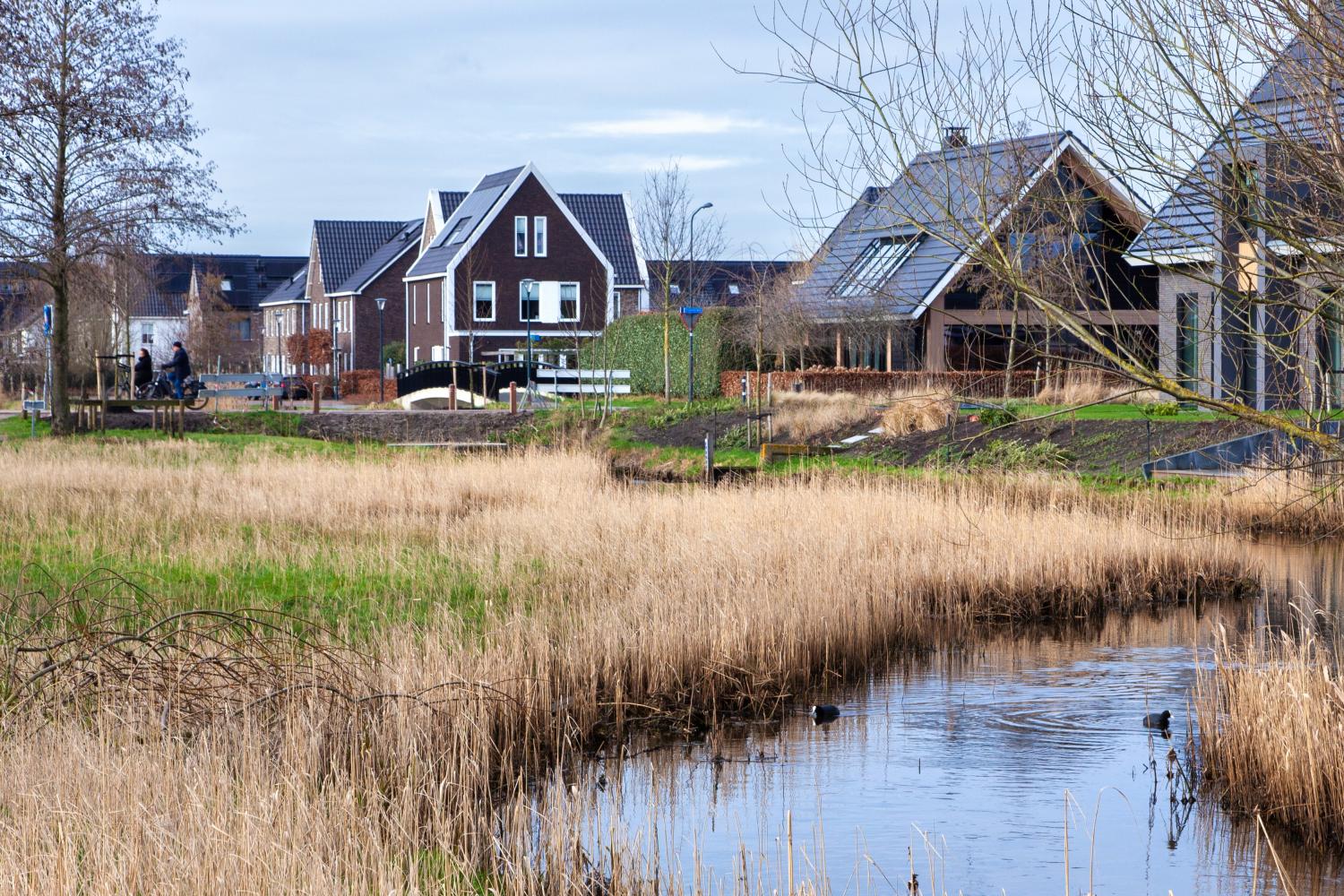 Foto van een woonwijk met veel groen en water op de voorgrond, op de achtergrond is een woonwijk en een brug te zien.