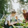 Een moeder zit met 2 kinderen gehurkt tussen groene gewassen. Ze laat iets zien wat ze aan het oogsten zijn.