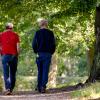 Twee witte mannen met grijs haar zie je vanaf achter samen wandelen in een park met veel groen.