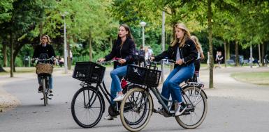 Twee jonge mensen op omafietsen in het park