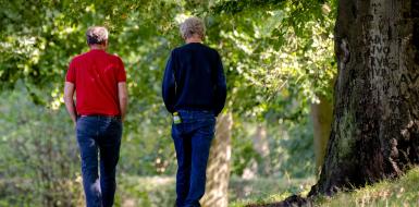 Twee witte mannen met grijs haar zie je vanaf achter samen wandelen in een park met veel groen.